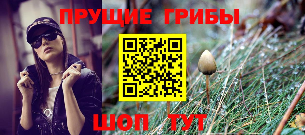 Галлюциногенные грибы GOLDEN TEACHER  Вход с VPN  Курчалой 